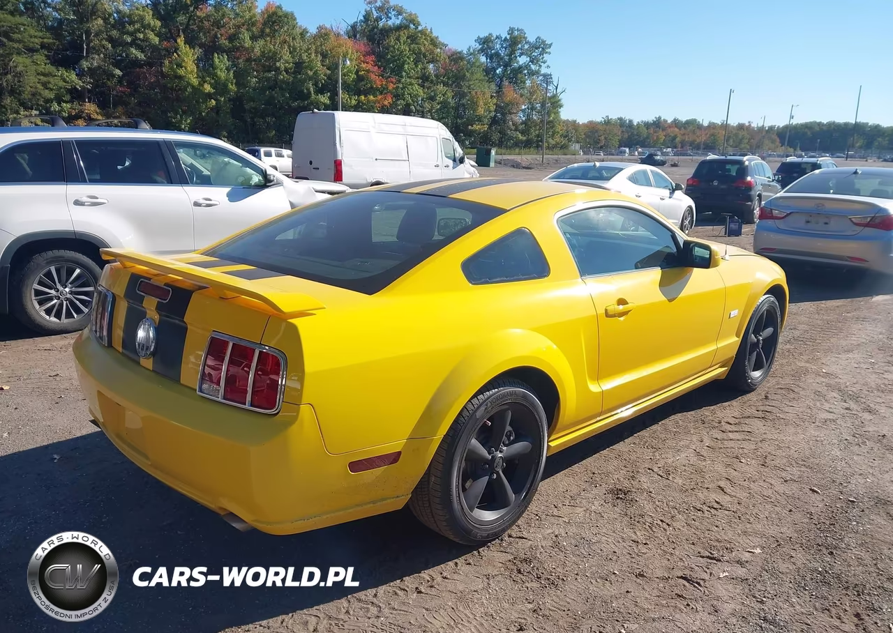 2006 Ford Mustang Gt VIN:1ZVFT82H665143594 - 4