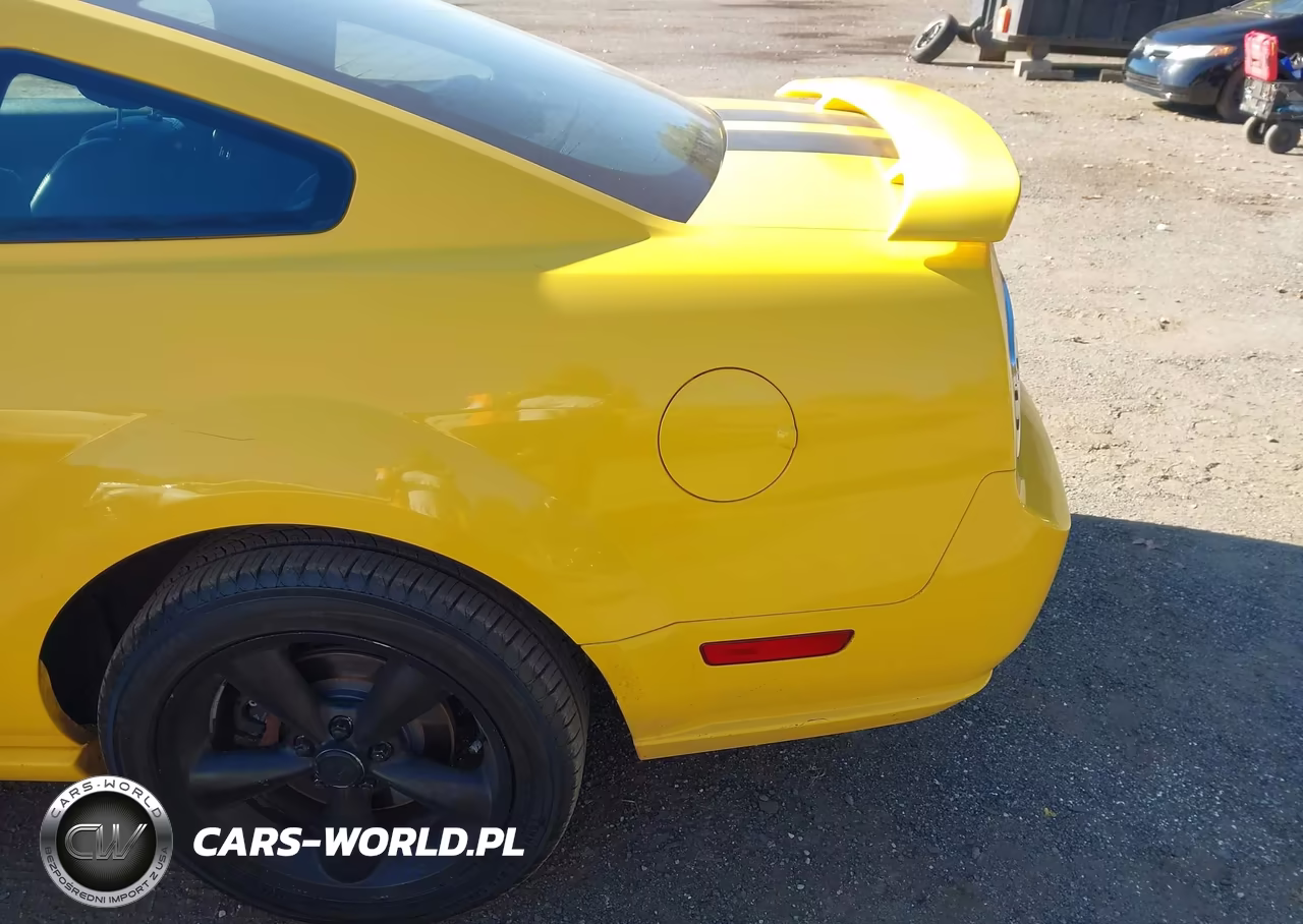 2006 Ford Mustang Gt VIN:1ZVFT82H665143594 - 6