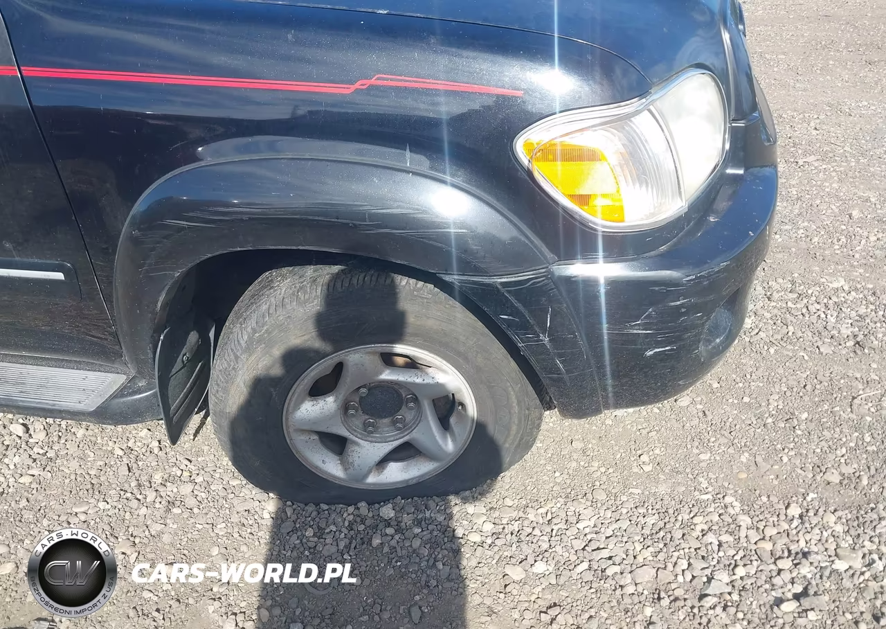 2005 Toyota Sequoia Sr5 V8 VIN:5TDBT44AX5S234841 - 6