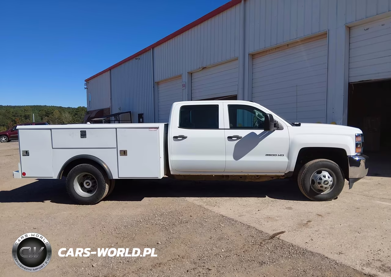 2019 Chevrolet Silverado 3500Hd Chassis Wt VIN:1GB4CVCG4KF180344 - 13