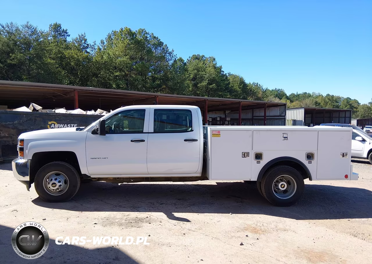2019 Chevrolet Silverado 3500Hd Chassis Wt VIN:1GB4CVCG4KF180344 - 14
