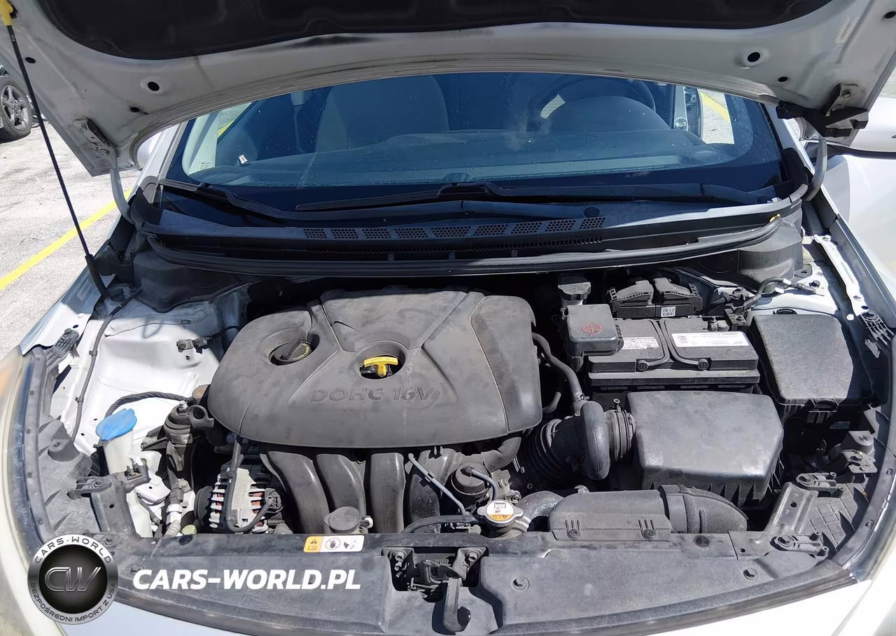 2015 Kia Forte Lx VIN:KNAFX4A60F5328639 - 10