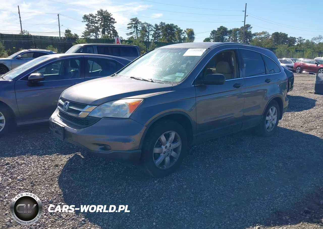 2011 Honda Cr-V Se VIN:5J6RE4H41BL118058 - 2