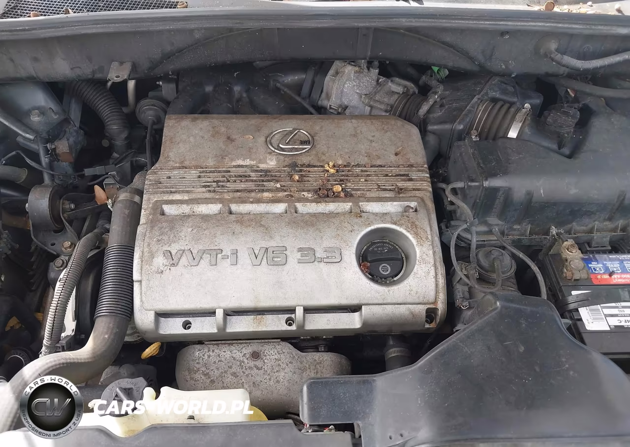 2004 Lexus Rx 330 VIN:JTJGA31U740003933 - 10