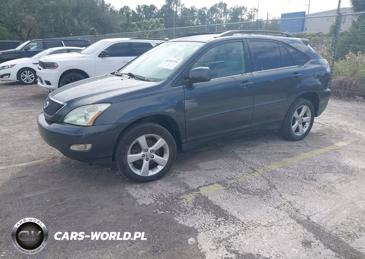 2004 Lexus Rx 330 VIN:JTJGA31U740003933 - 2