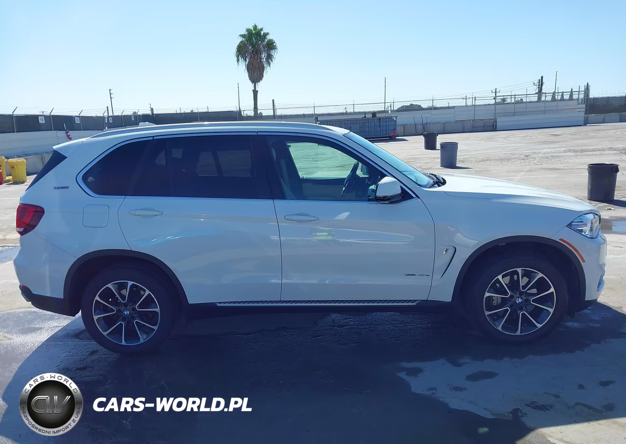 2018 BMW X5 Edrive xDrive40E Iperformance VIN:5UXKT0C58J0V98507 - 13