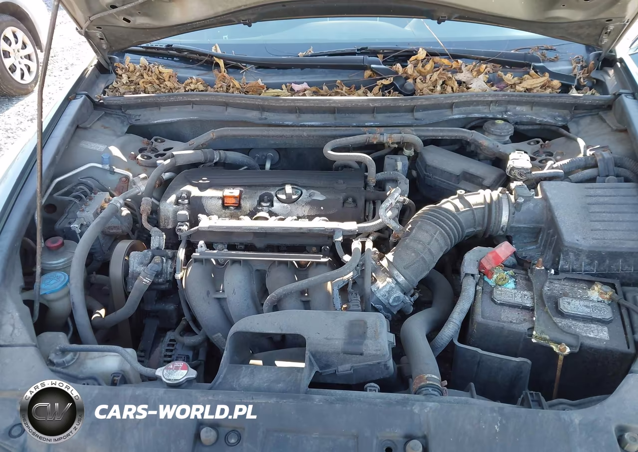 2010 Honda Accord 2.4 Ex VIN:1HGCP2F76AA074075 - 10