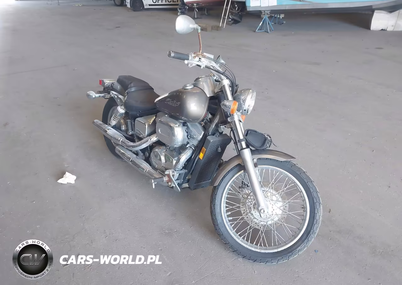 2007 Honda Vt750 Dc VIN:JH2RC44137M100015 - 1