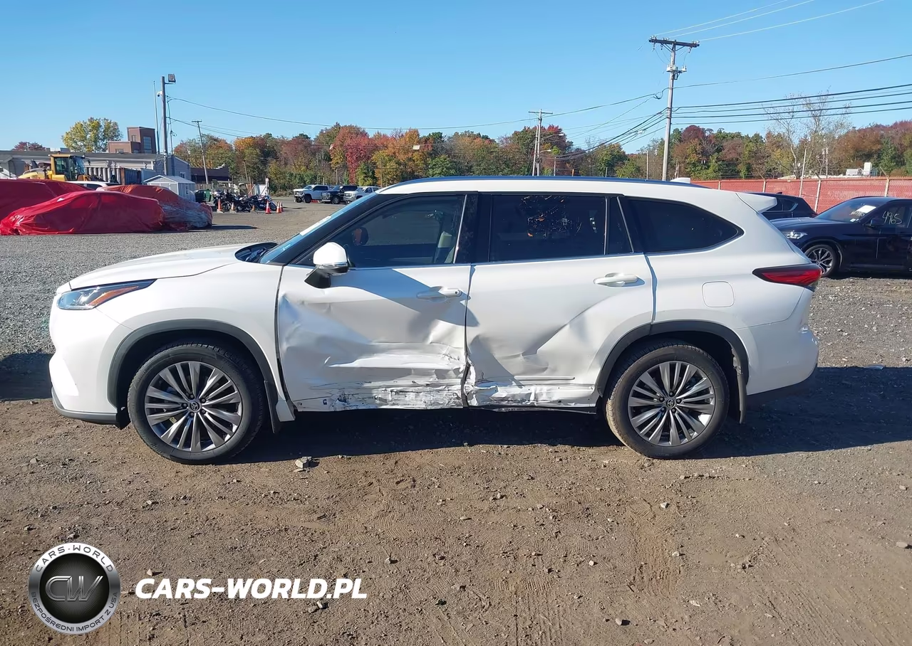 2020 Toyota Highlander Platinum VIN:5TDFZRBH3LS000440 - 14