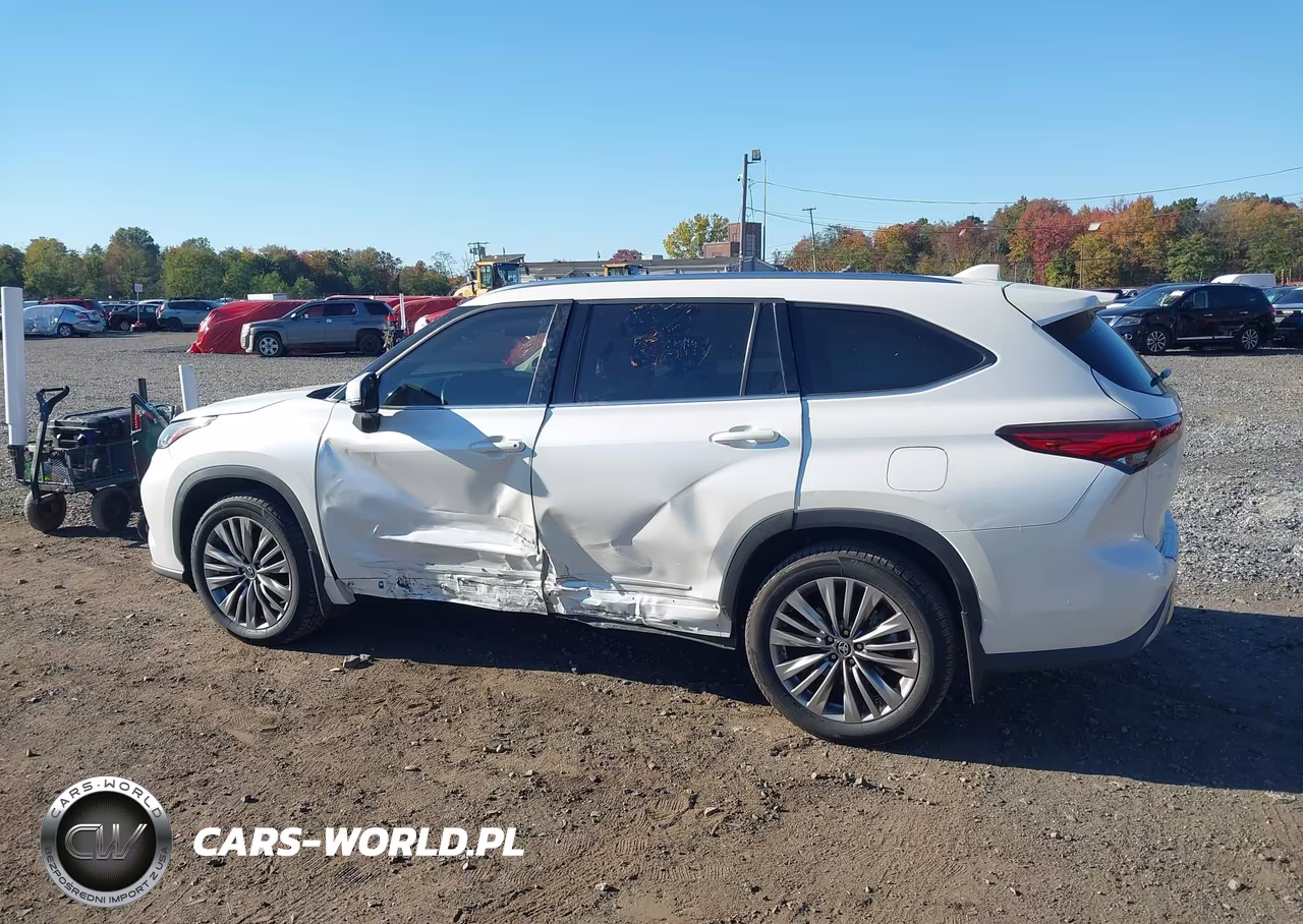 2020 Toyota Highlander Platinum VIN:5TDFZRBH3LS000440 - 17