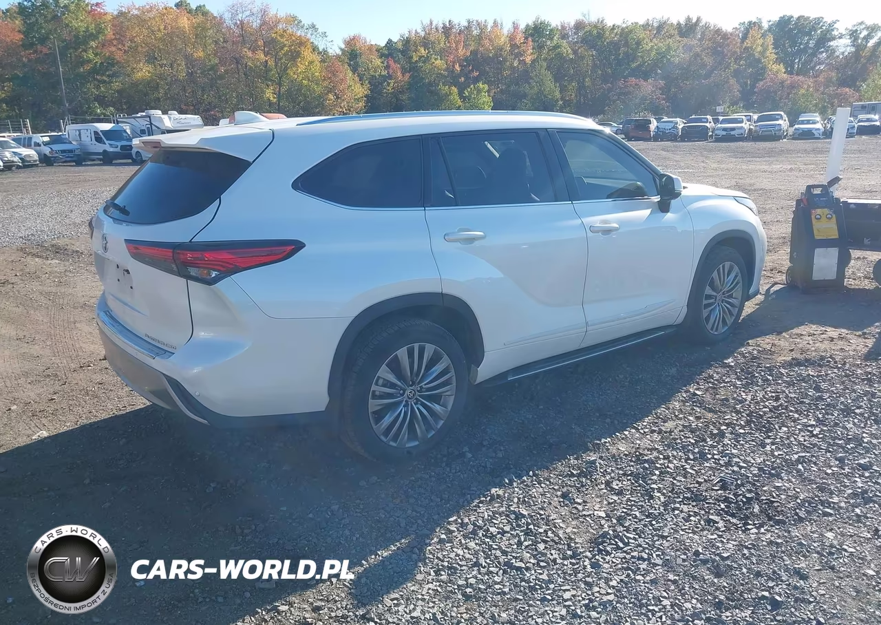 2020 Toyota Highlander Platinum VIN:5TDFZRBH3LS000440 - 4