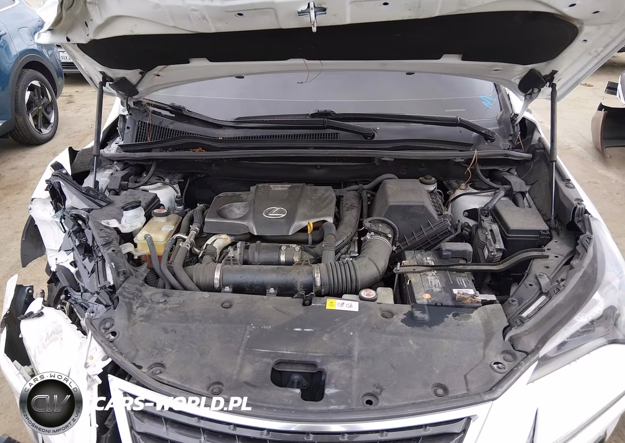 2019 Lexus Nx 300 VIN:JTJYARBZ9K2123669 - 10