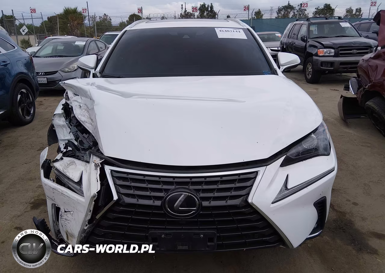 2019 Lexus Nx 300 VIN:JTJYARBZ9K2123669 - 12
