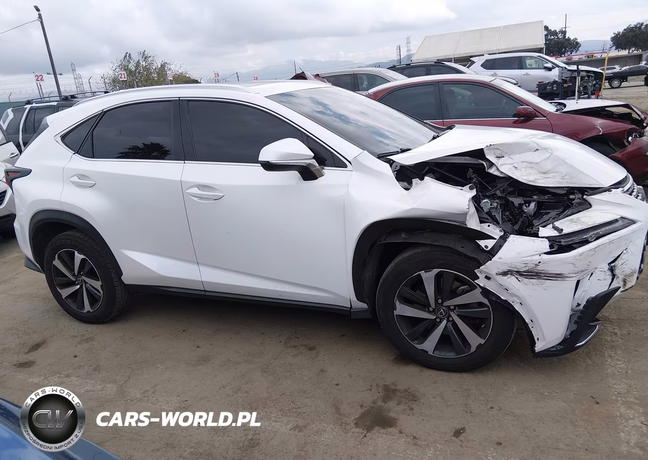 2019 Lexus Nx 300 VIN:JTJYARBZ9K2123669 - 13