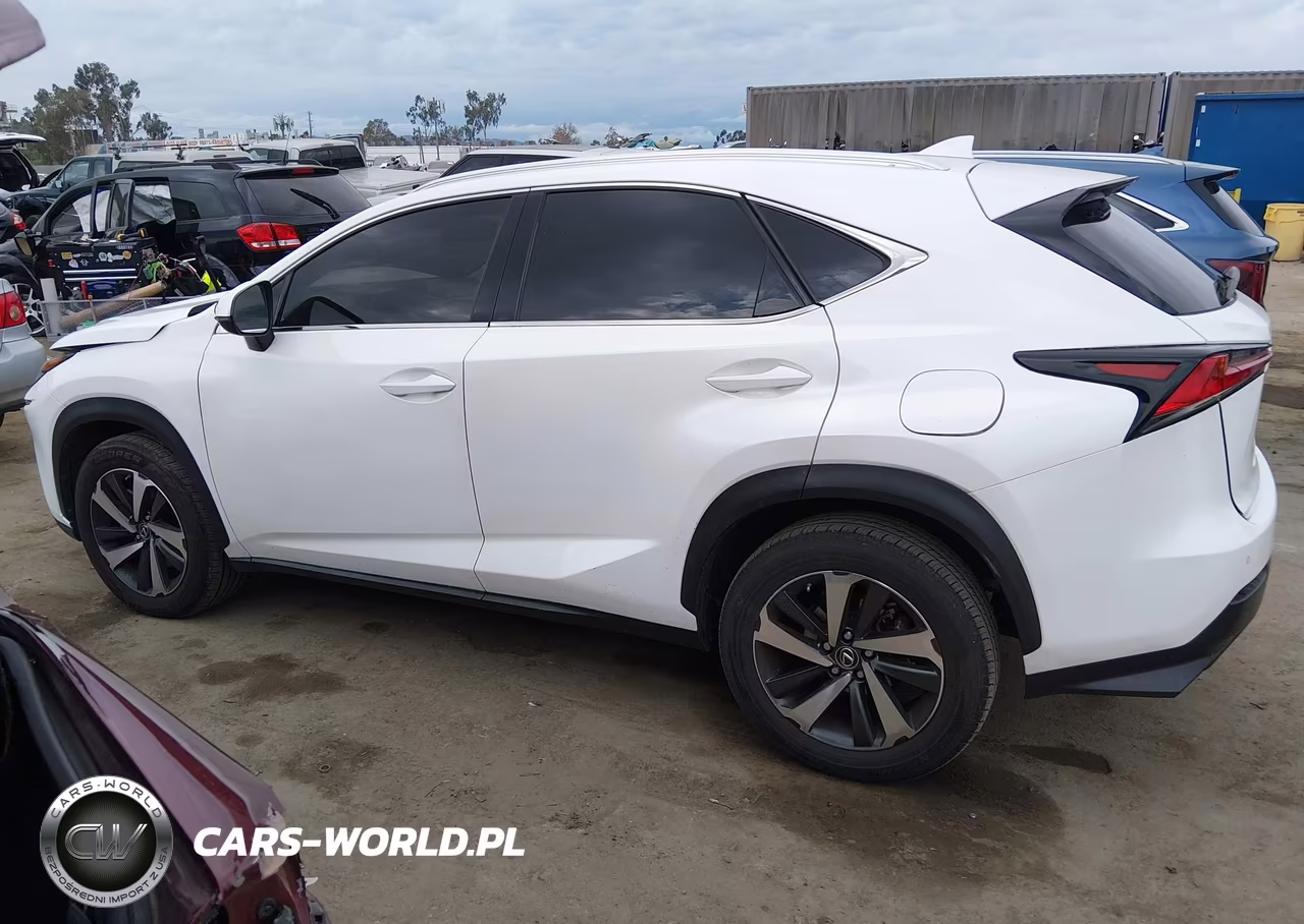 2019 Lexus Nx 300 VIN:JTJYARBZ9K2123669 - 14