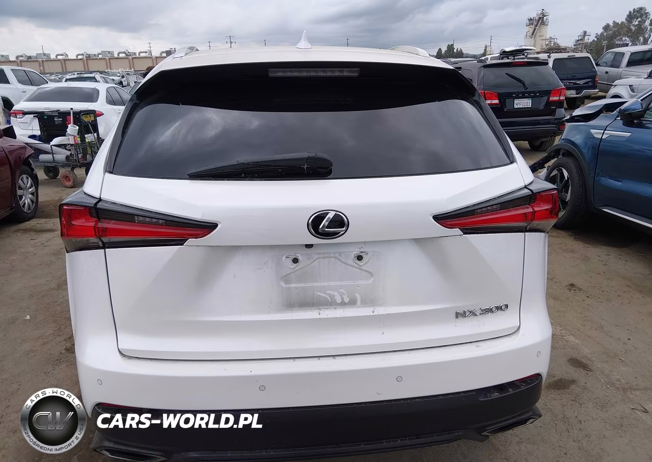 2019 Lexus Nx 300 VIN:JTJYARBZ9K2123669 - 16