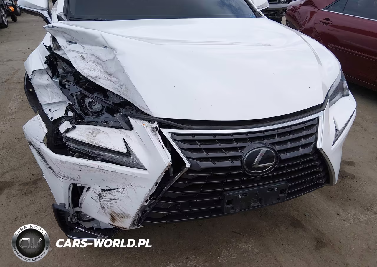 2019 Lexus Nx 300 VIN:JTJYARBZ9K2123669 - 17