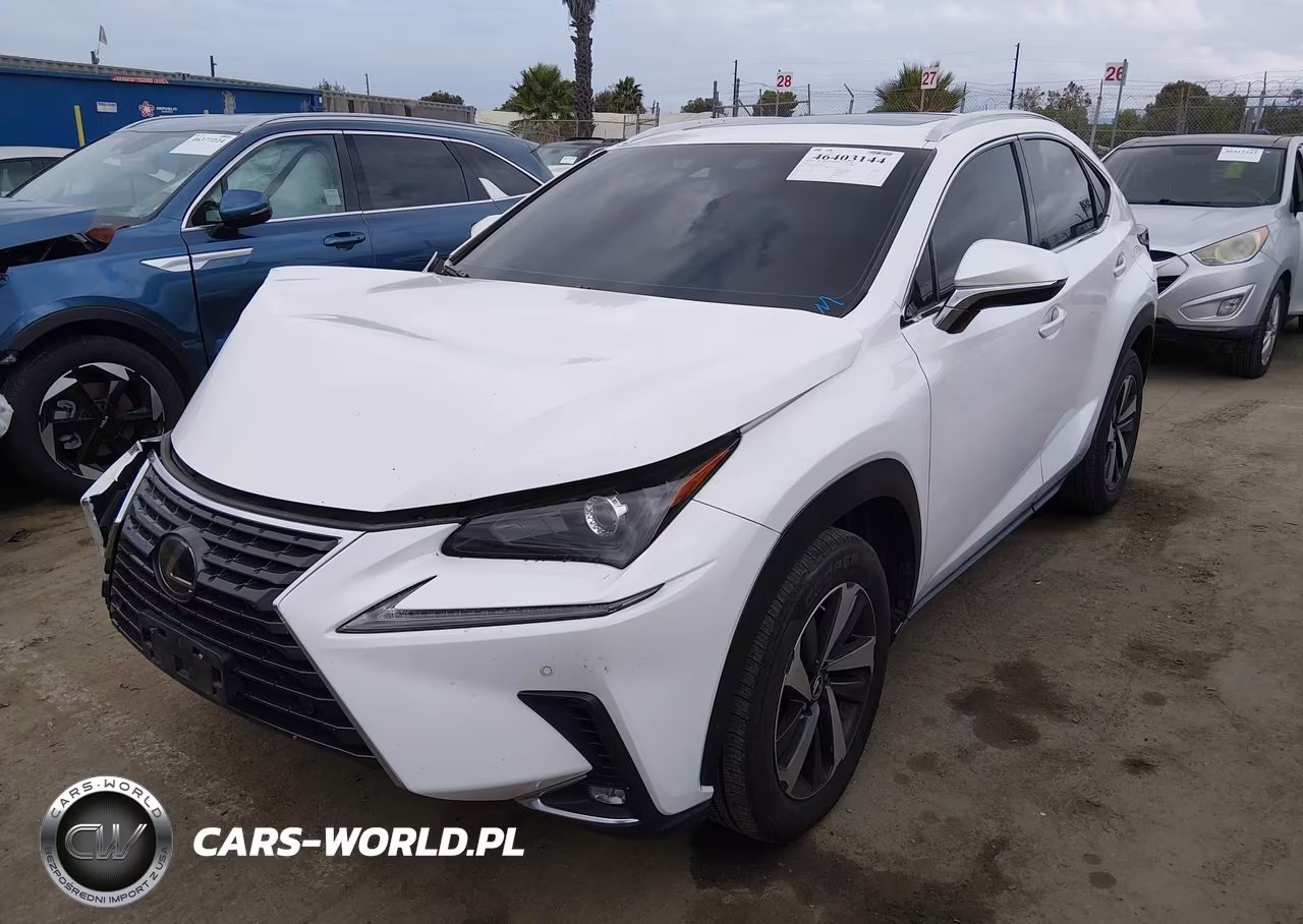 2019 Lexus Nx 300 VIN:JTJYARBZ9K2123669 - 2