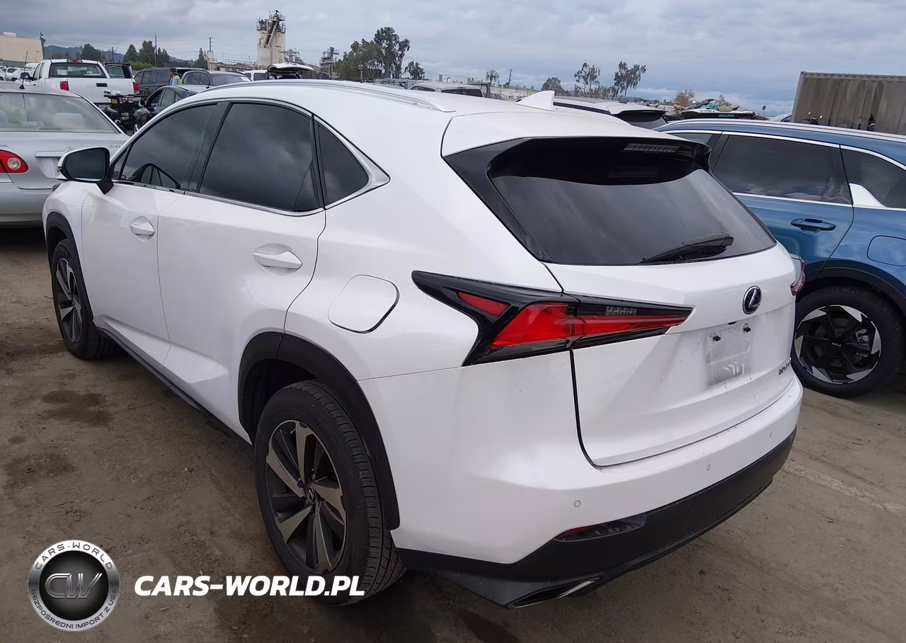 2019 Lexus Nx 300 VIN:JTJYARBZ9K2123669 - 3