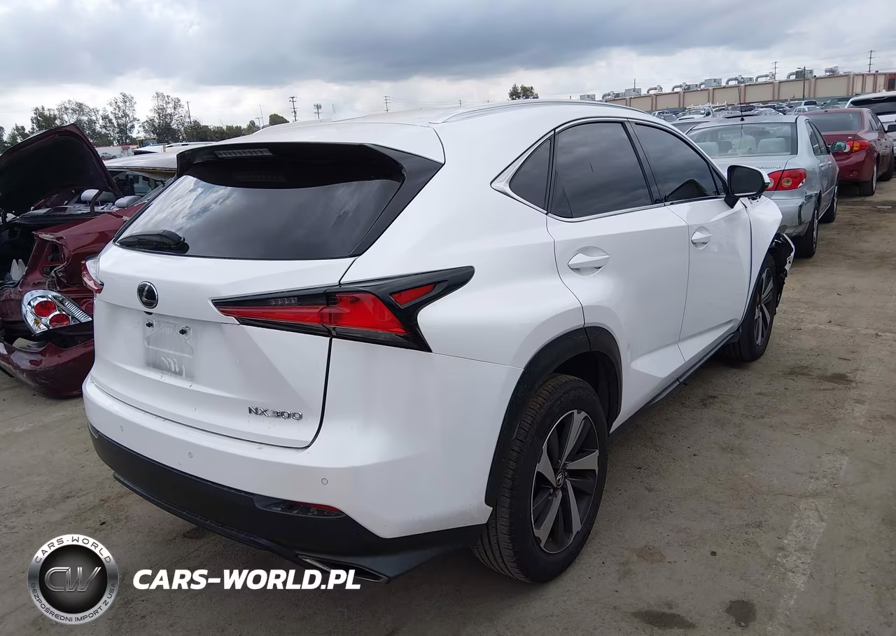 2019 Lexus Nx 300 VIN:JTJYARBZ9K2123669 - 4