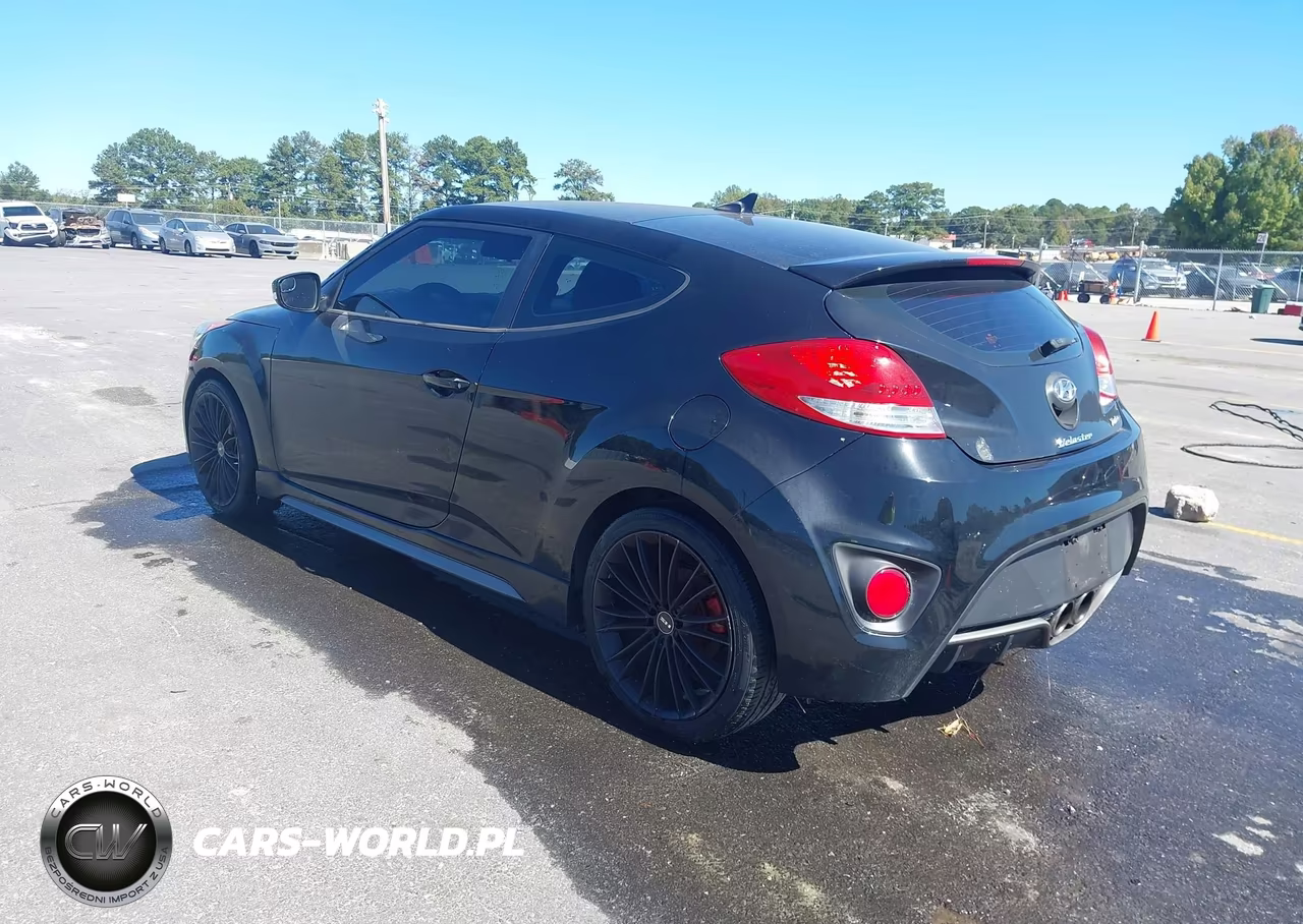 2013 Hyundai Veloster Turbo W-Black VIN:KMHTC6AE6DU165000 - 3