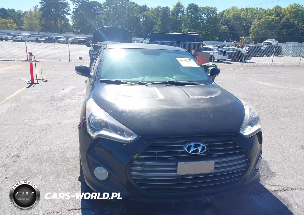 2013 Hyundai Veloster Turbo W-Black VIN:KMHTC6AE6DU165000 - 6
