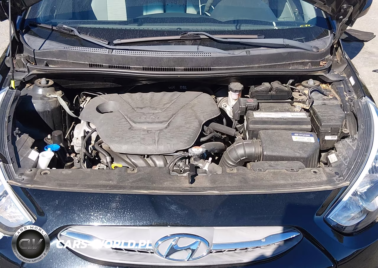 2017 Hyundai Accent Value Edition VIN:KMHCT4AE6HU389023 - 10