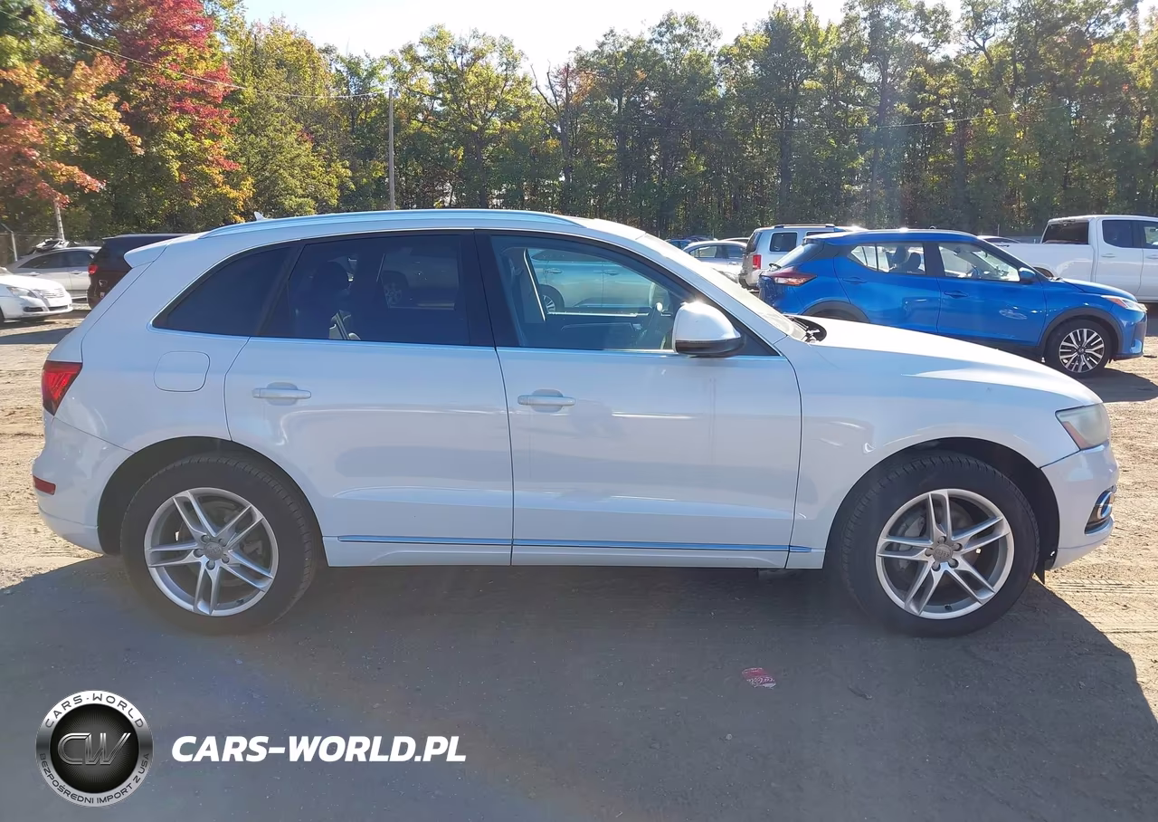 2013 Audi Q5 Premium Plus VIN:WA1LFAFP4DA028061 - 13