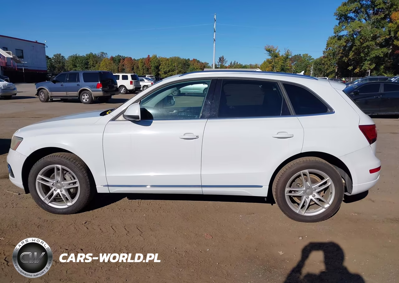2013 Audi Q5 Premium Plus VIN:WA1LFAFP4DA028061 - 14
