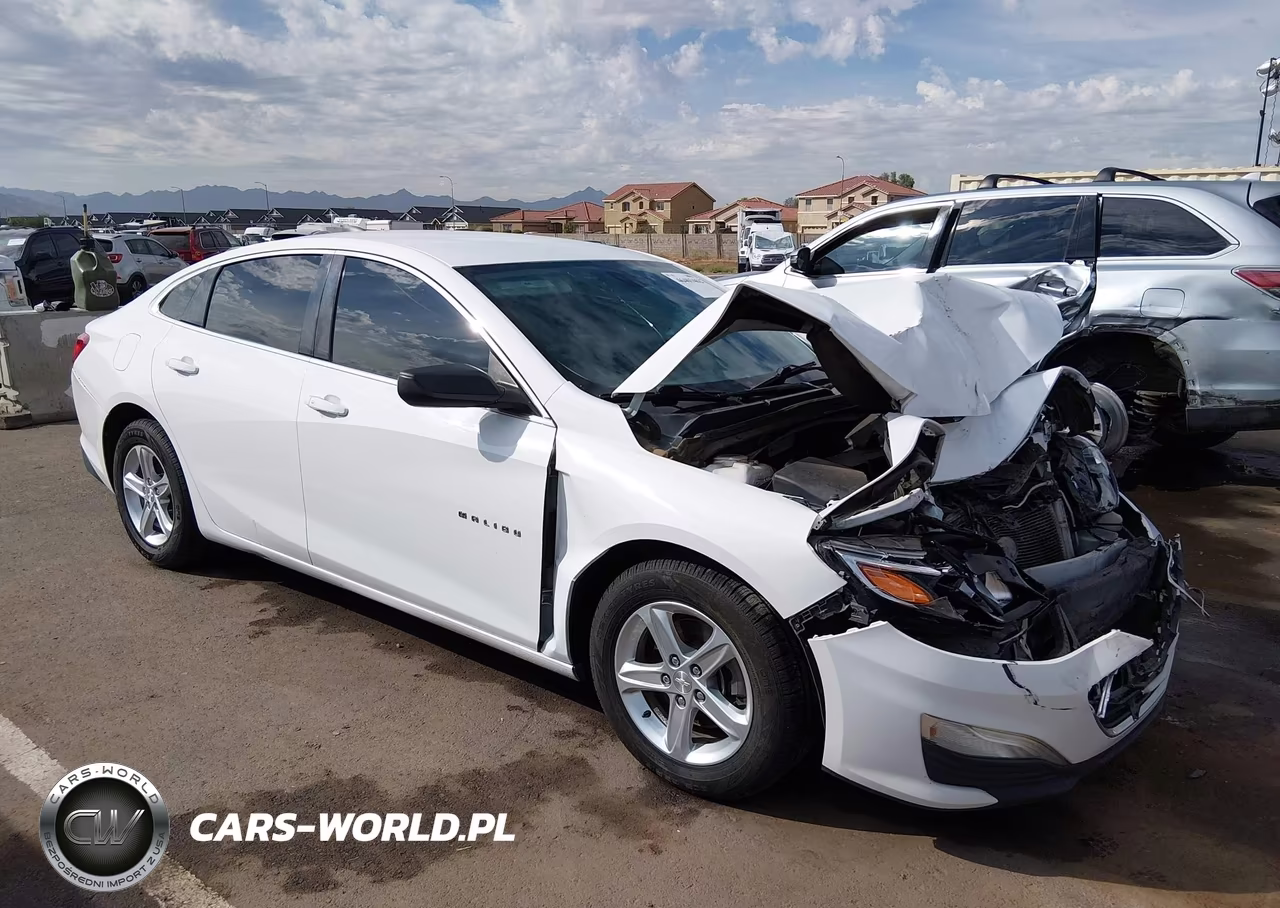 2019 Chevrolet Malibu 1Fl
