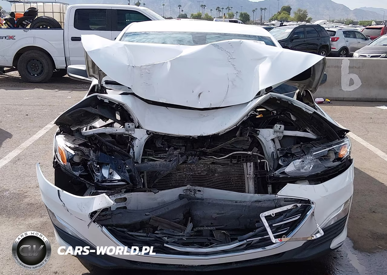 2019 Chevrolet Malibu 1Fl VIN:1G1ZC5ST0KF193150 - 11