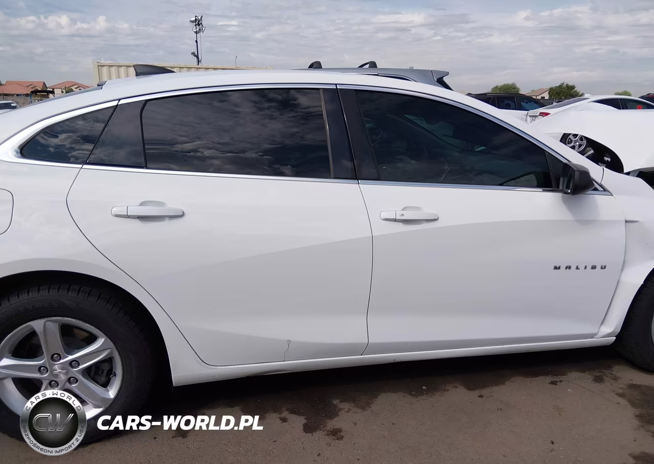 2019 Chevrolet Malibu 1Fl VIN:1G1ZC5ST0KF193150 - 12