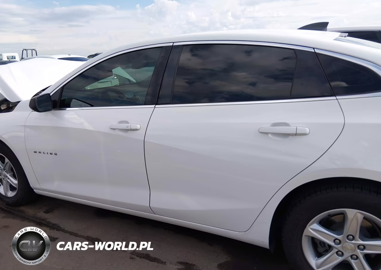 2019 Chevrolet Malibu 1Fl VIN:1G1ZC5ST0KF193150 - 13