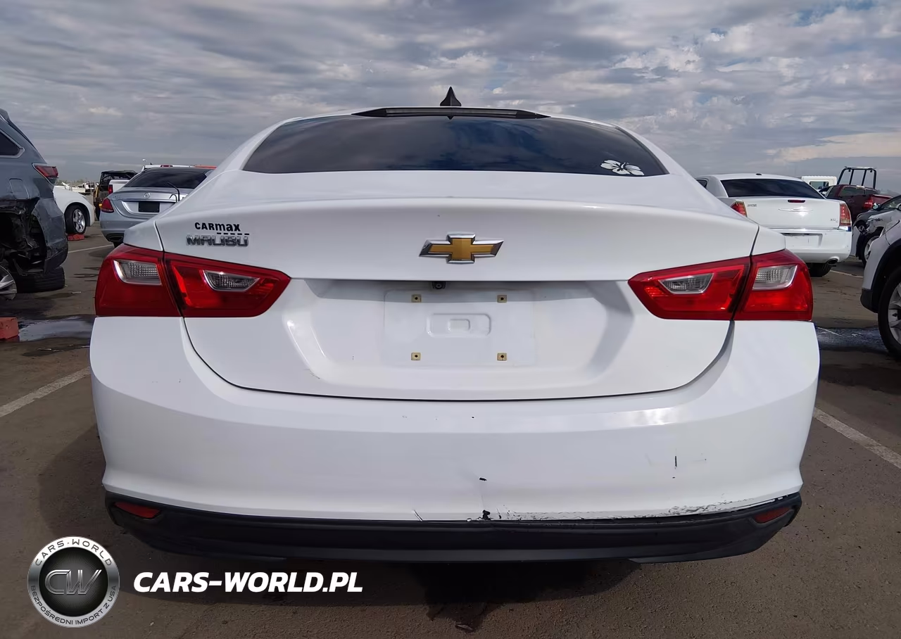 2019 Chevrolet Malibu 1Fl VIN:1G1ZC5ST0KF193150 - 15