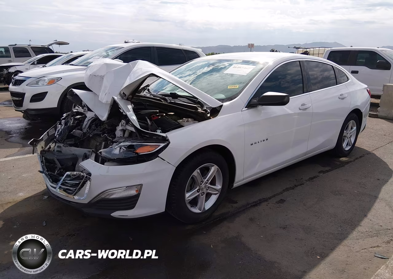 2019 Chevrolet Malibu 1Fl VIN:1G1ZC5ST0KF193150 - 2