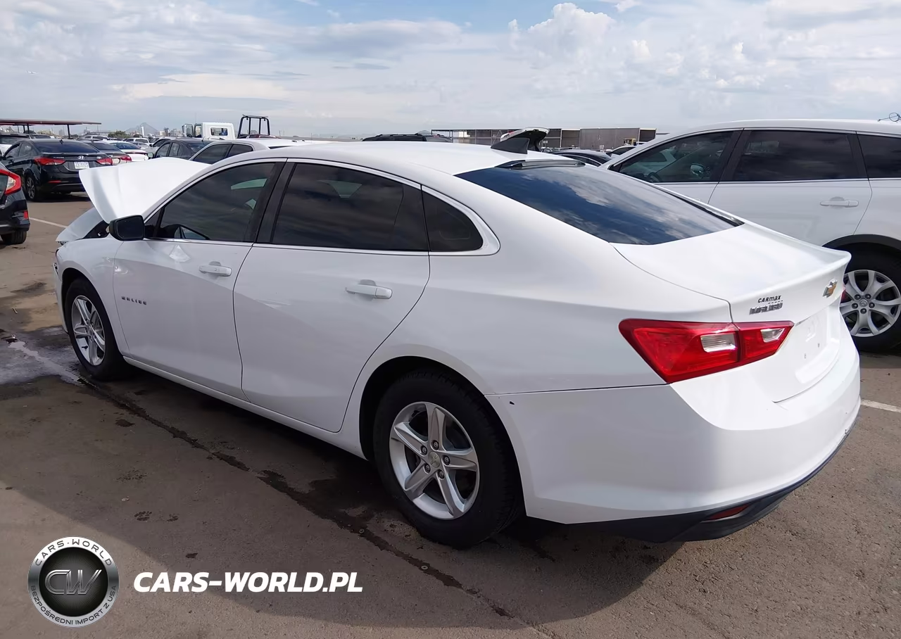 2019 Chevrolet Malibu 1Fl VIN:1G1ZC5ST0KF193150 - 3