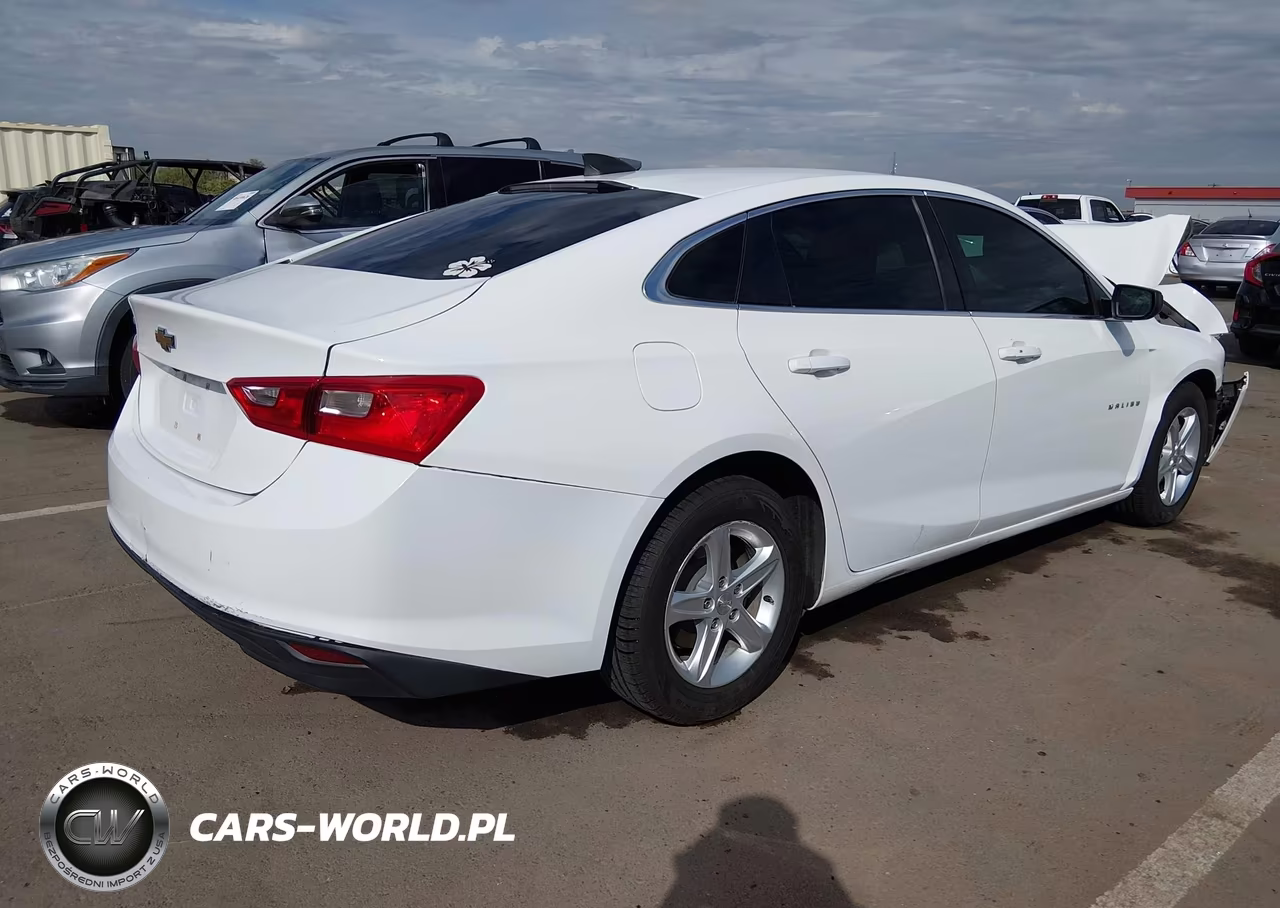 2019 Chevrolet Malibu 1Fl VIN:1G1ZC5ST0KF193150 - 4