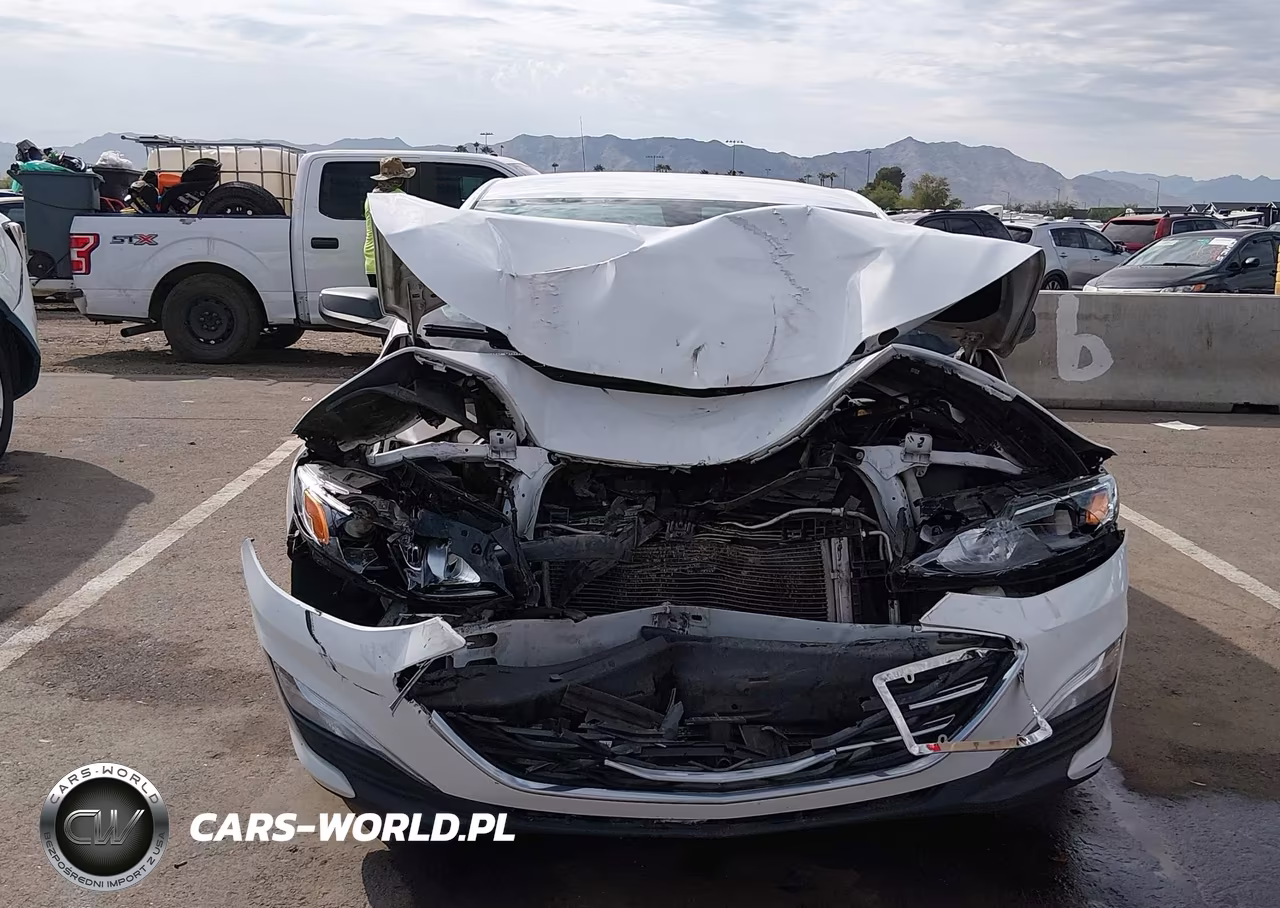 2019 Chevrolet Malibu 1Fl VIN:1G1ZC5ST0KF193150 - 6