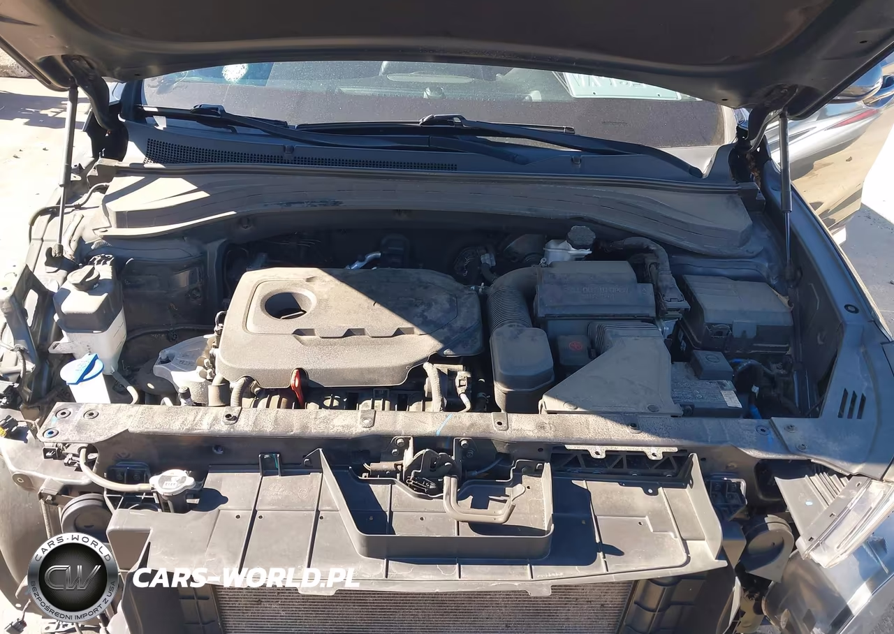 2020 Hyundai Santa Fe Se VIN:5NMS2CAD7LH243623 - 10