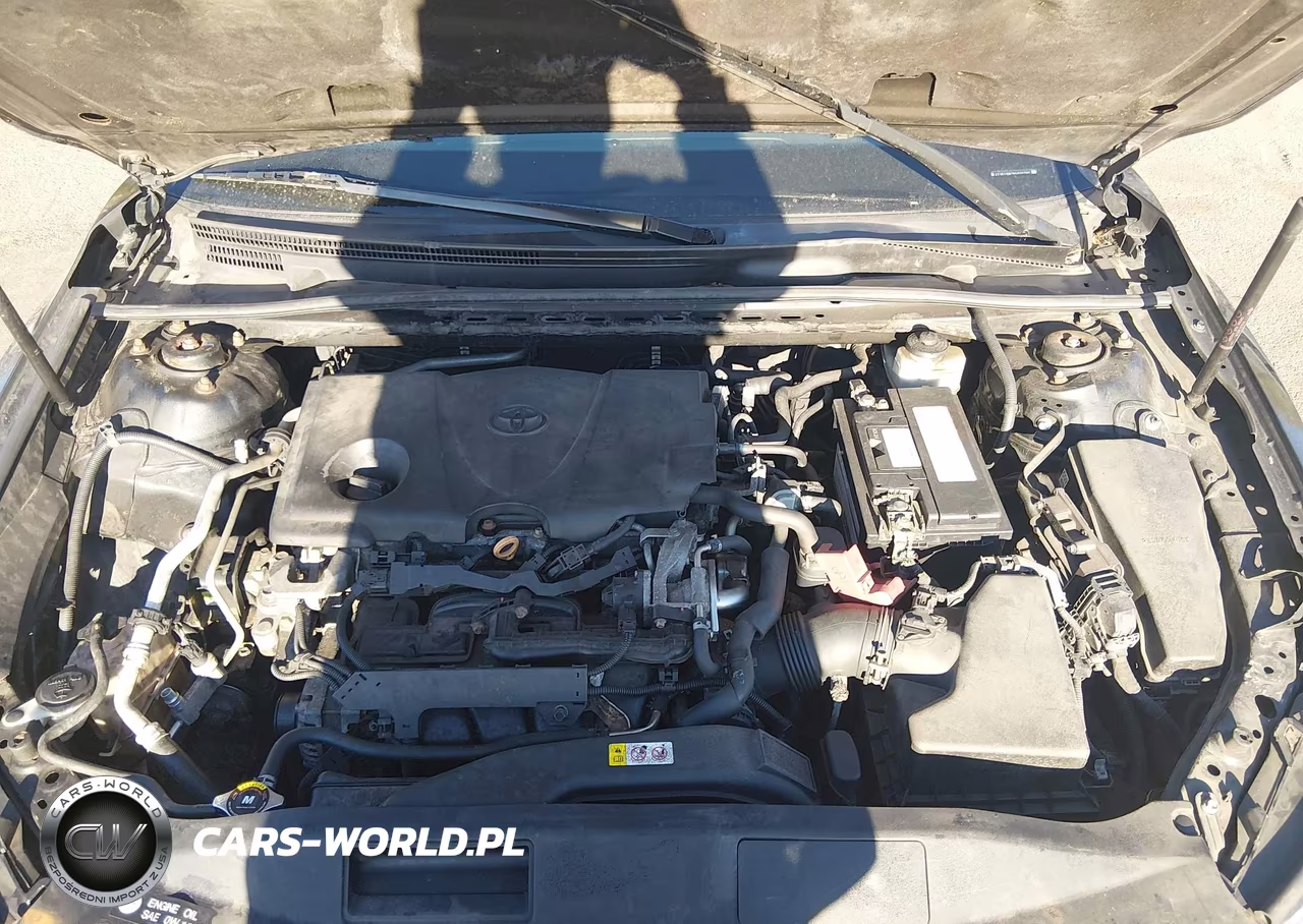 2019 Toyota Camry Se VIN:4T1B11HK7KU707797 - 10