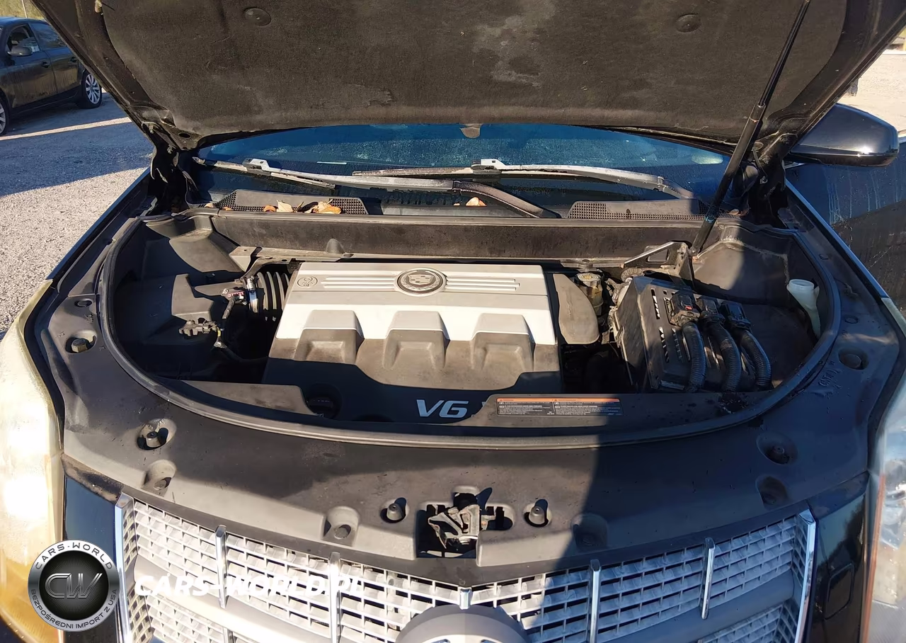 2010 Cadillac Srx Performance Collection VIN:3GYFNBEY2AS548379 - 10
