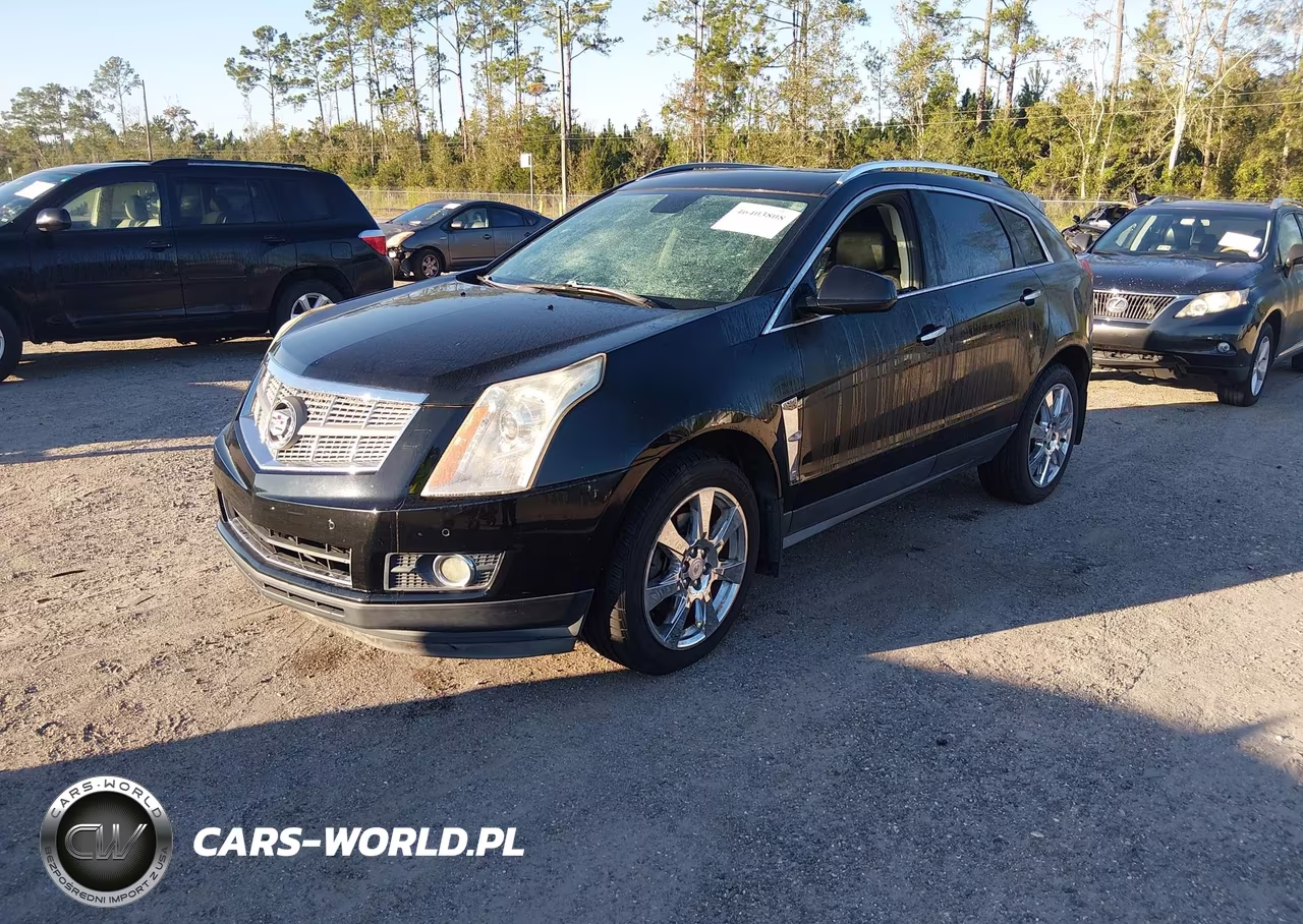 2010 Cadillac Srx Performance Collection VIN:3GYFNBEY2AS548379 - 2