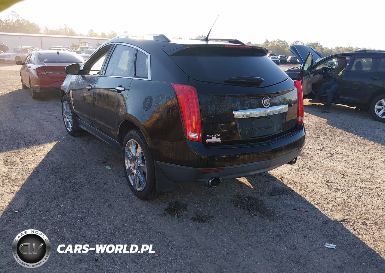 2010 Cadillac Srx Performance Collection VIN:3GYFNBEY2AS548379 - 3