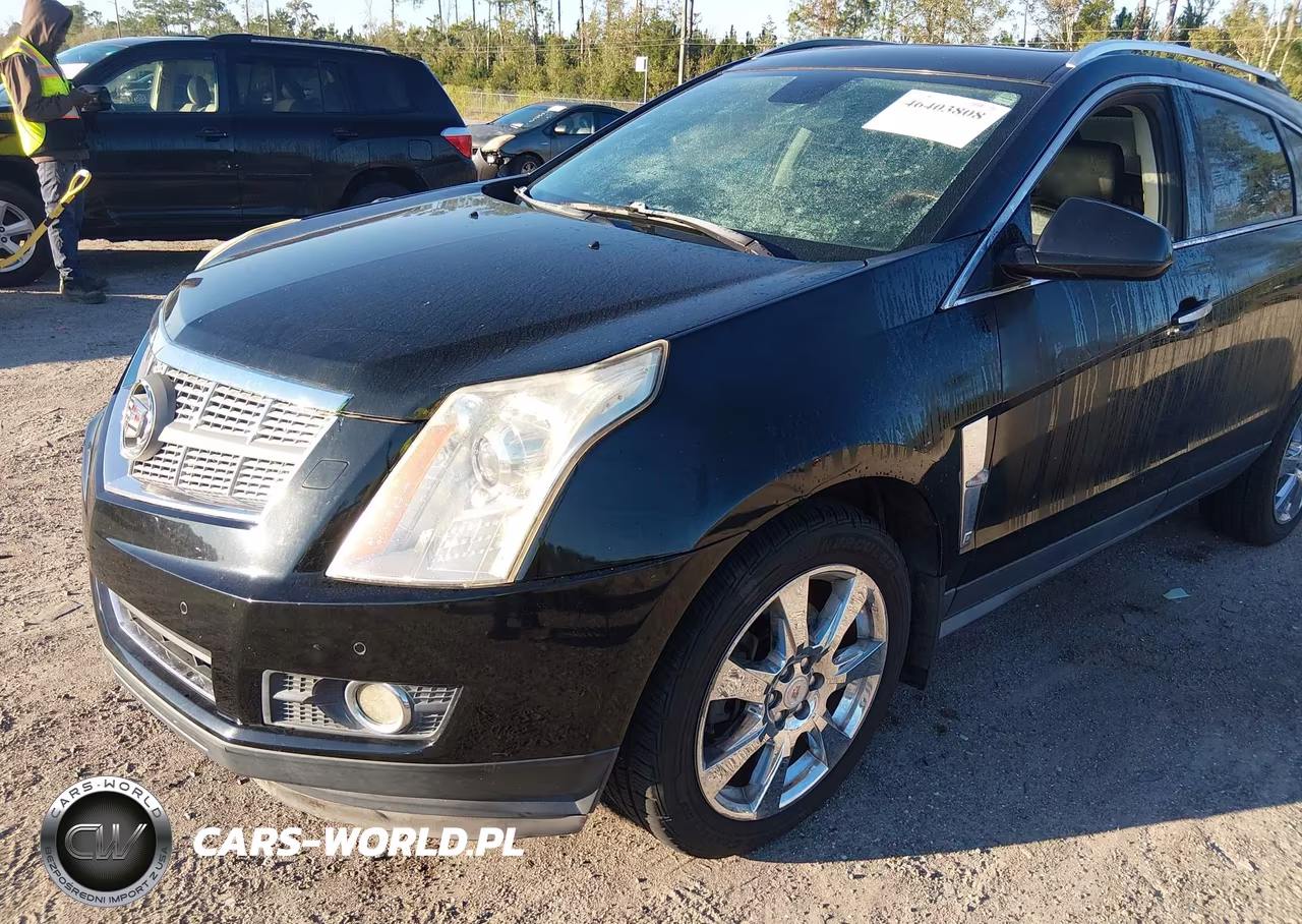 2010 Cadillac Srx Performance Collection VIN:3GYFNBEY2AS548379 - 6