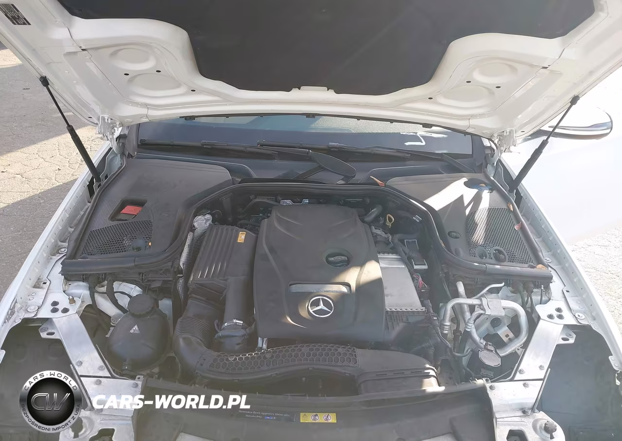 2017 Mercedes-Benz E 300 VIN:WDDZF4JB8HA173967 - 10