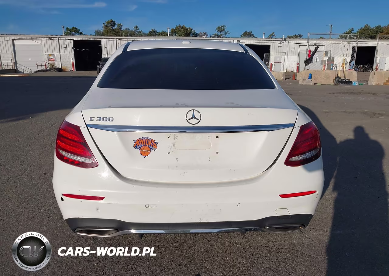 2017 Mercedes-Benz E 300 VIN:WDDZF4JB8HA173967 - 16