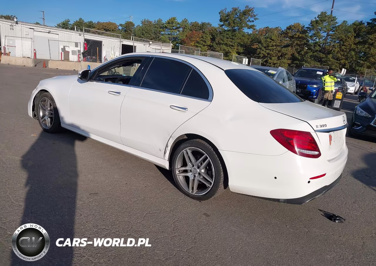 2017 Mercedes-Benz E 300 VIN:WDDZF4JB8HA173967 - 3