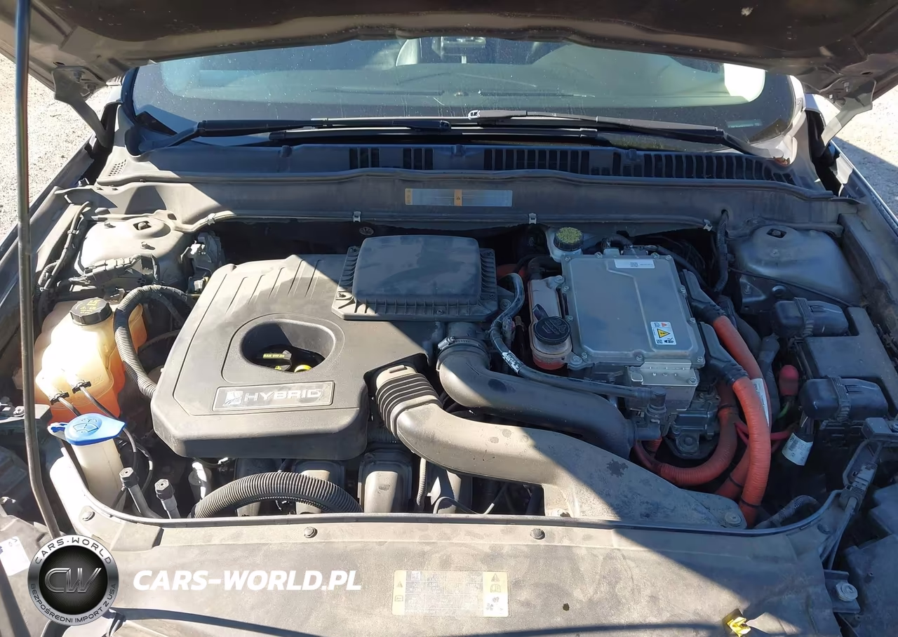 2013 Ford Fusion Hybrid Se VIN:3FA6P0LU4DR156879 - 10