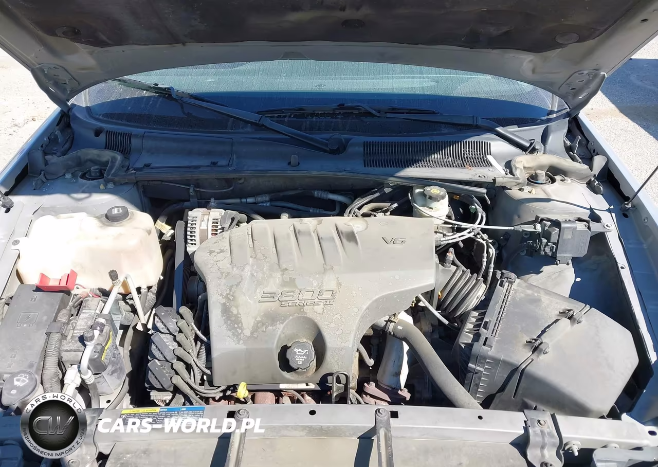 2004 Buick Lesabre Limited VIN:1G4HR54K04U192578 - 10