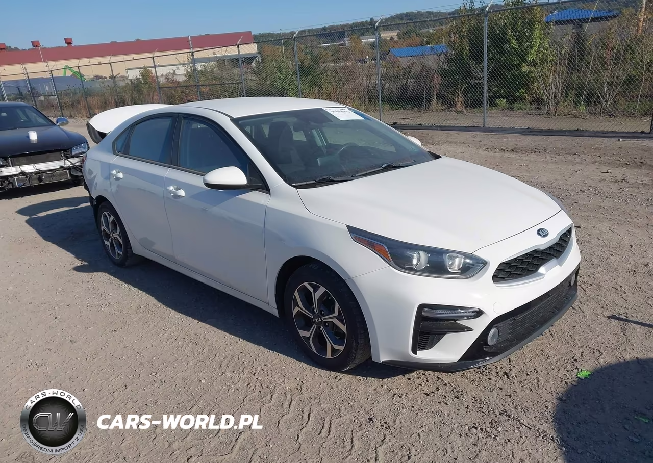 2019 Kia Forte Lxs
